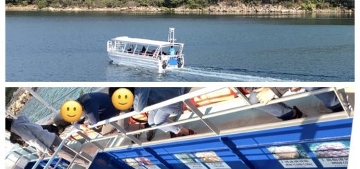 海下灣坐玻璃底船看珊瑚