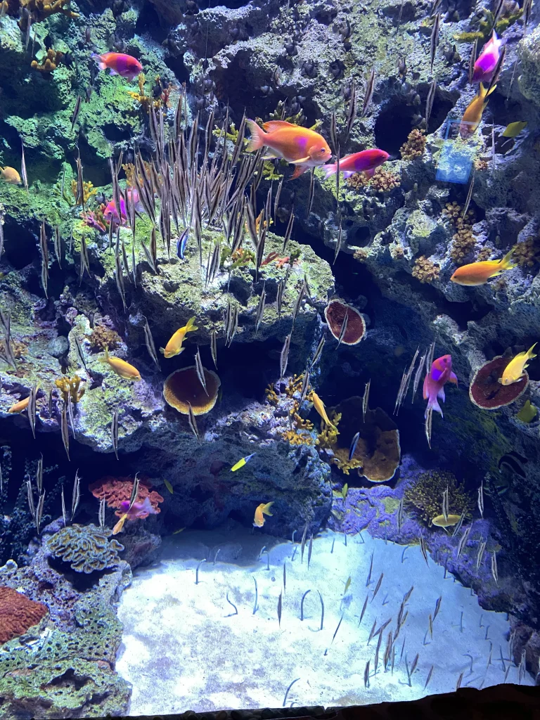 珠海長隆飛船主題樂園水族館